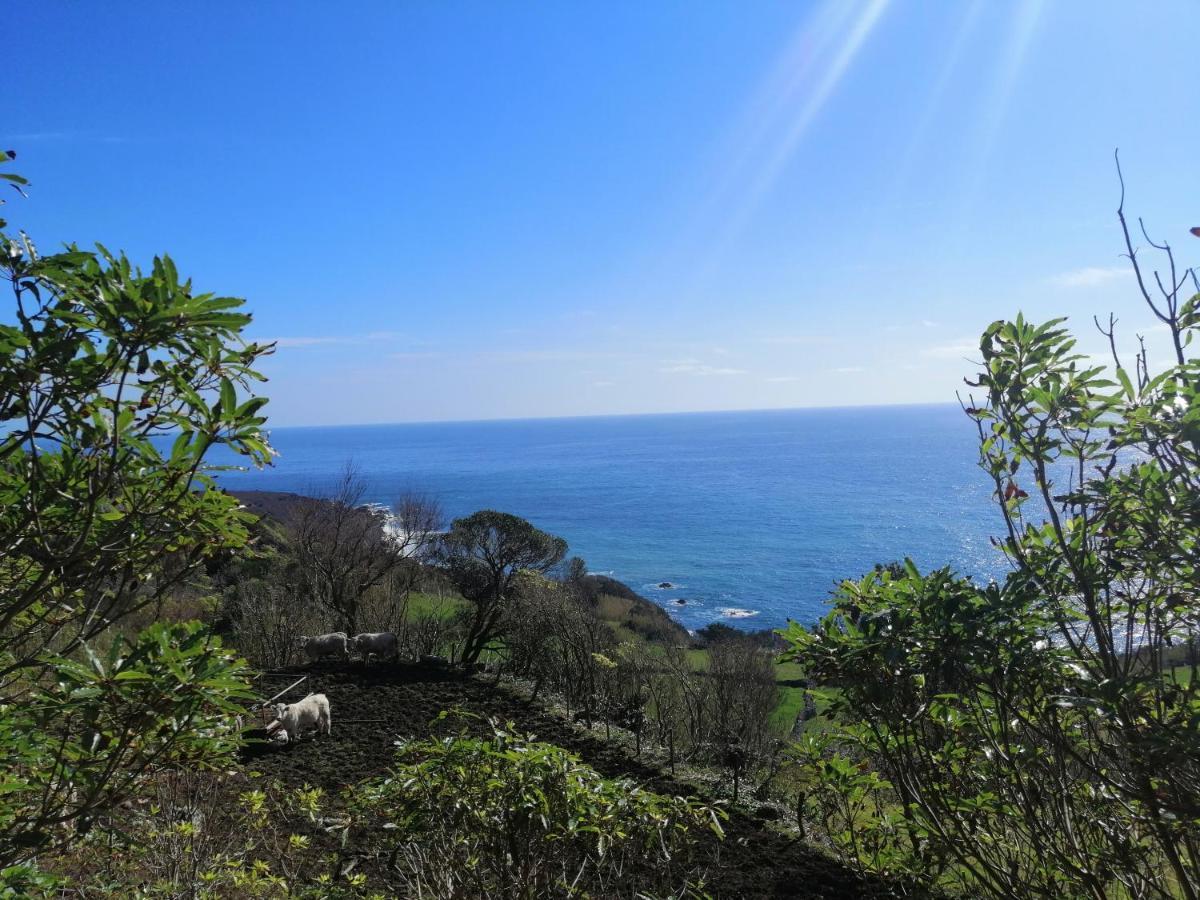 A Casa Do Ti Mendonca Villa Lajes das Flores Eksteriør bilde
